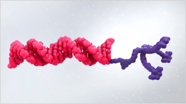 AMVUTTRA® (vutrisiran) Mechanism of Action video thumbnail